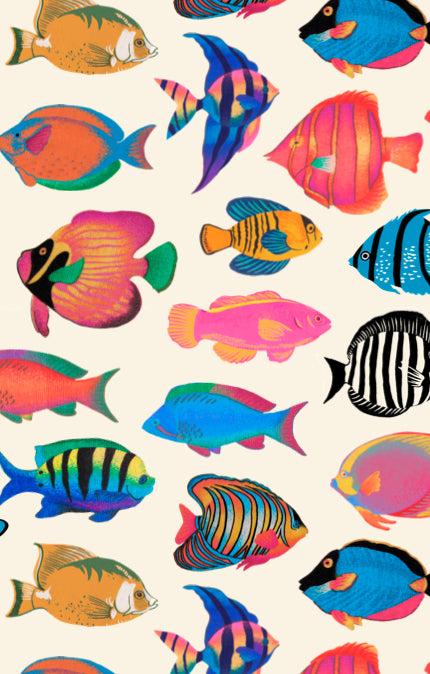 Rainbow Reef Button Up Shirt for Toddlers | Unisex Collar Top