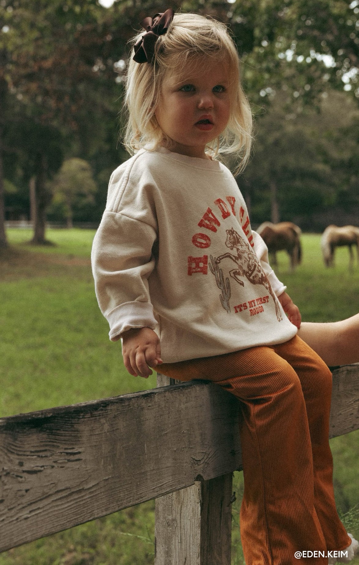 Distressed Howdy Graphic Crewneck Sweatshirt | Davis