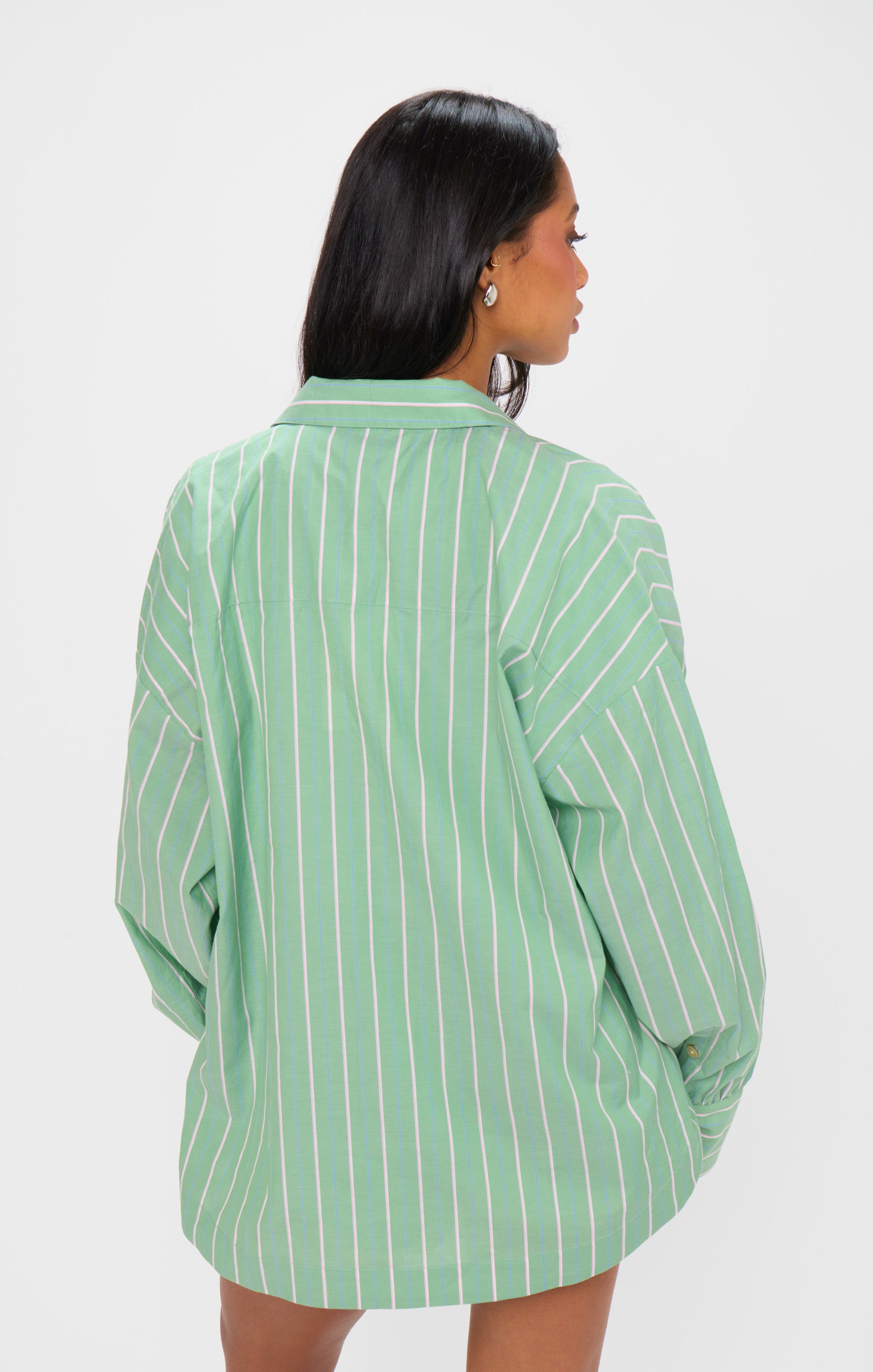 Lightweight Poplin Button Down Shirt - Pistachio Stripe | Tyler